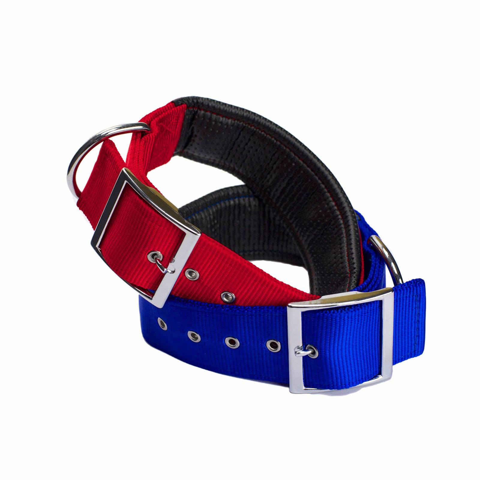 AgBoss Nylon Padded Dog Collars Shop Online Now at Ambler Direct