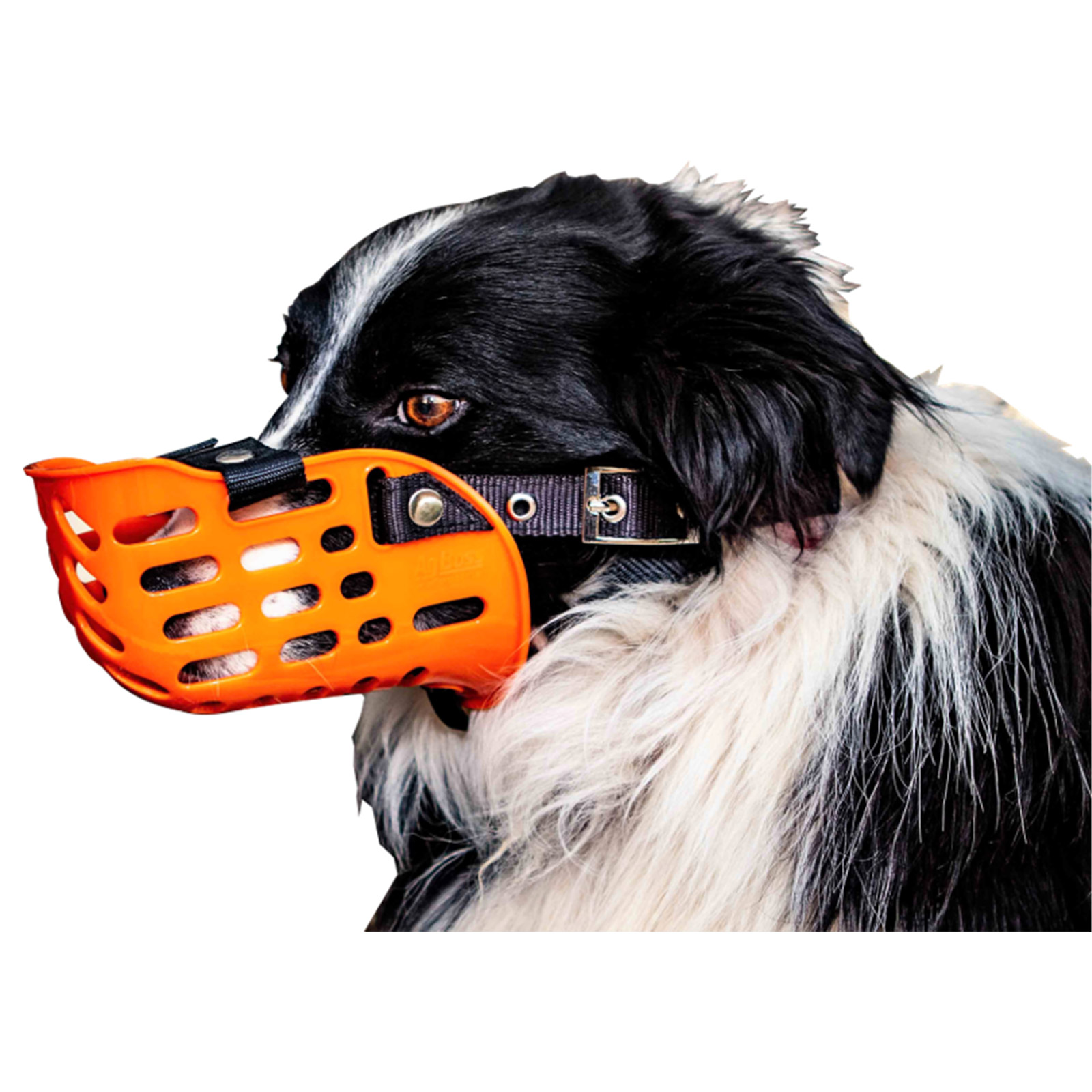 AgBoss Muzzle Plastic Working Dog Adjustable Muzzle Anti Bite Aus Made